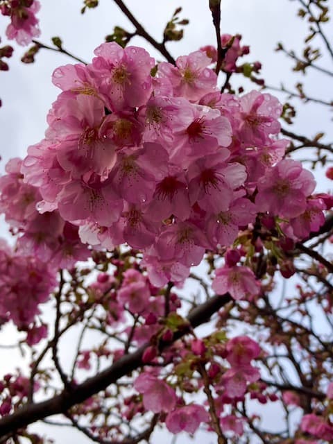 💛3月のお知らせ💛