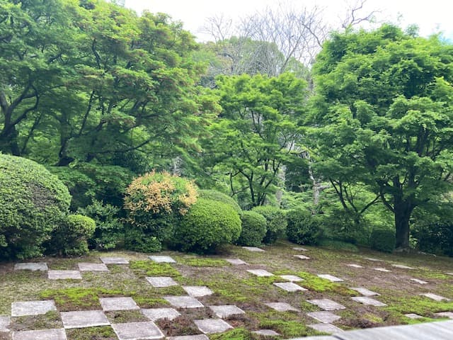 5月のおすすめ食材と体調管理🍀